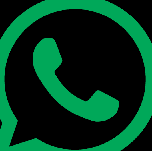 WHATSAPP NUMBER