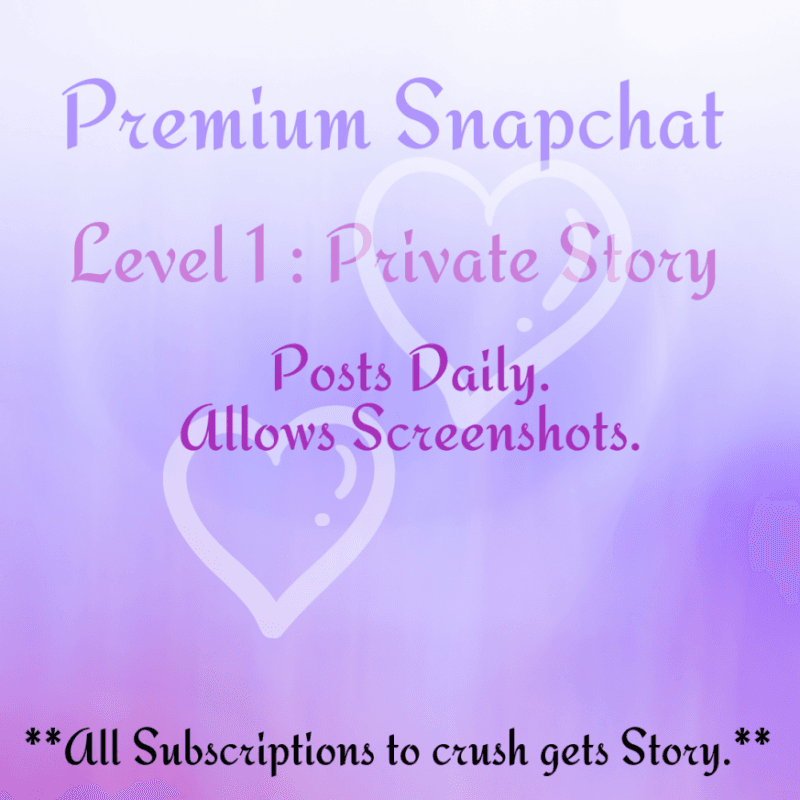 Premium Snapchat: Level 1