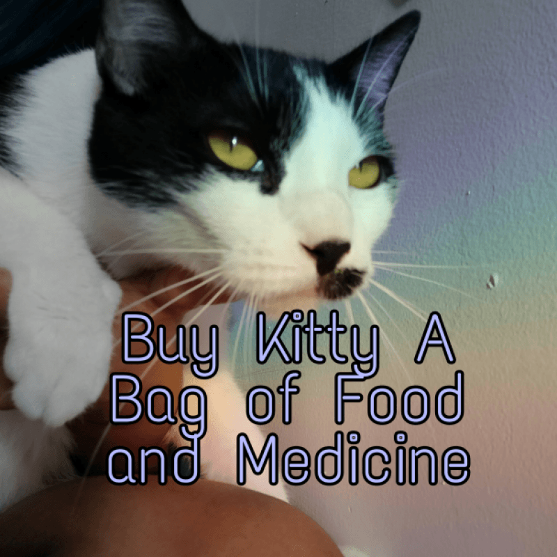 Buy Kitty a Bag of Food