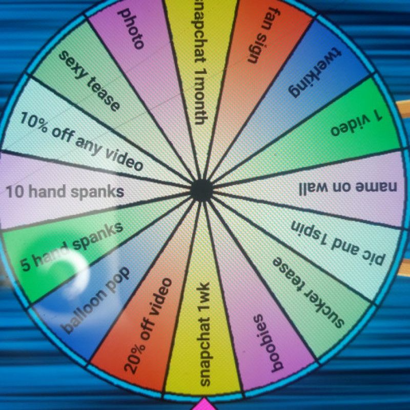 ManyVids wheel