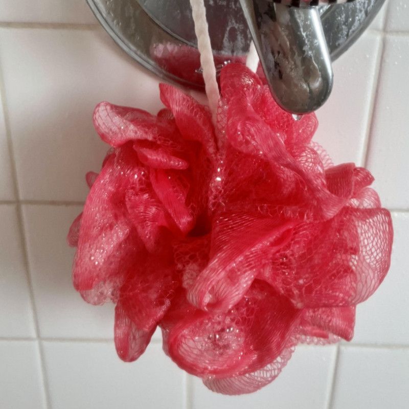 Soapy Milky Loofa