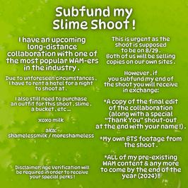 URGENT: Subfund my Slime Shoot!