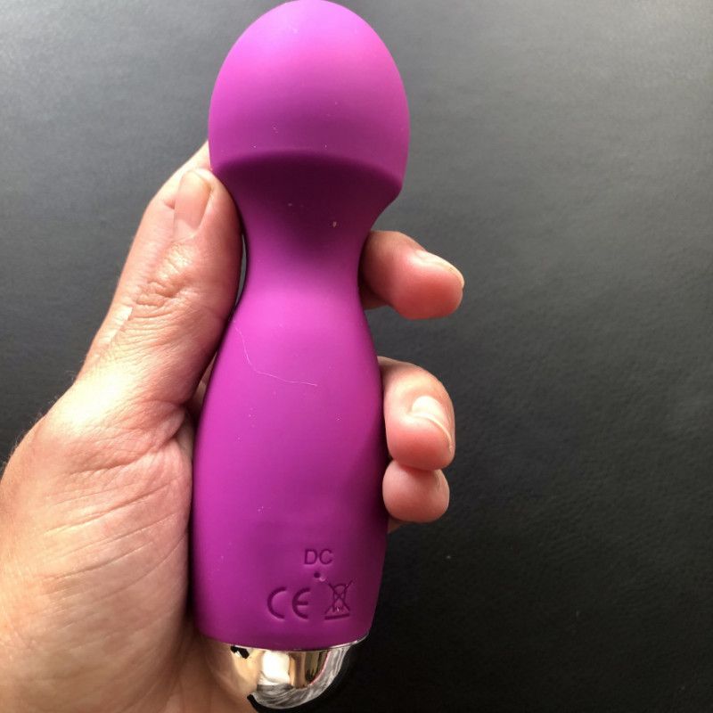 Purple Multi Speed Vibrator Toy