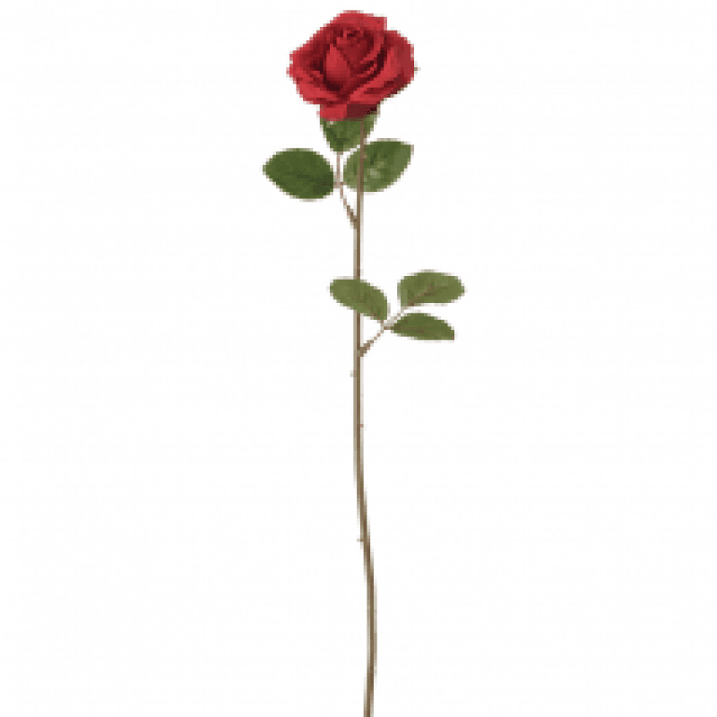 Buy Me A Rose For Valentines