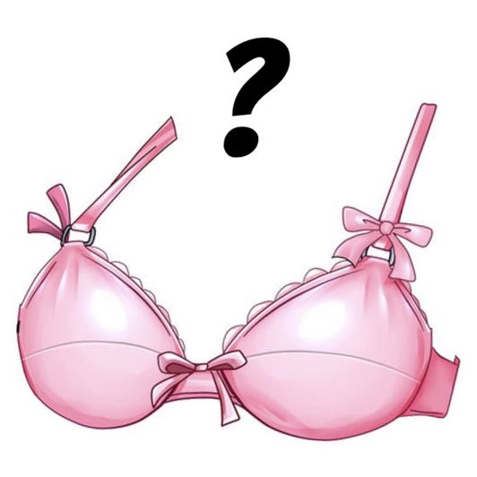 Random Mystery Bra