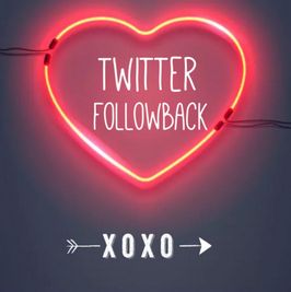 Twitter Follow Back