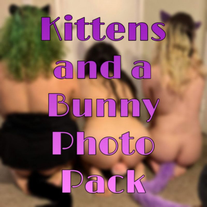 Kittens and a Bunny Photo Pack