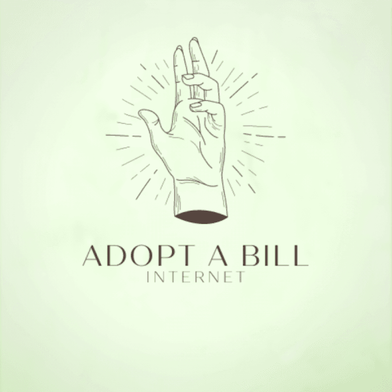 Internet: Adopt a Bill