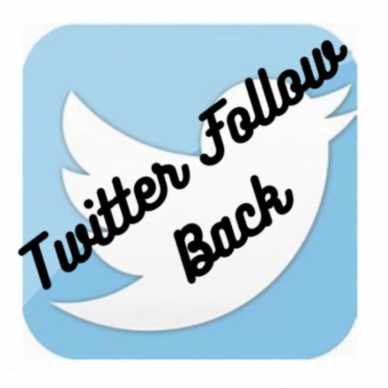 Twitter Follow Back