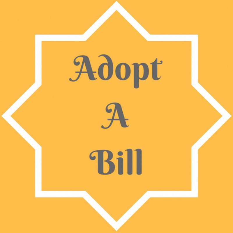 Adopt a Bill Electricity