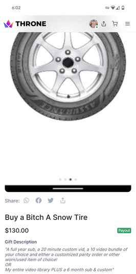 Buy A Bitch A Snow Tire Wishlist Item!