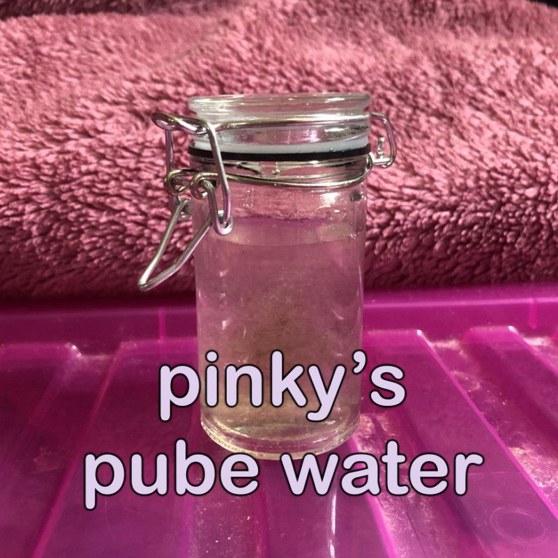 pube water