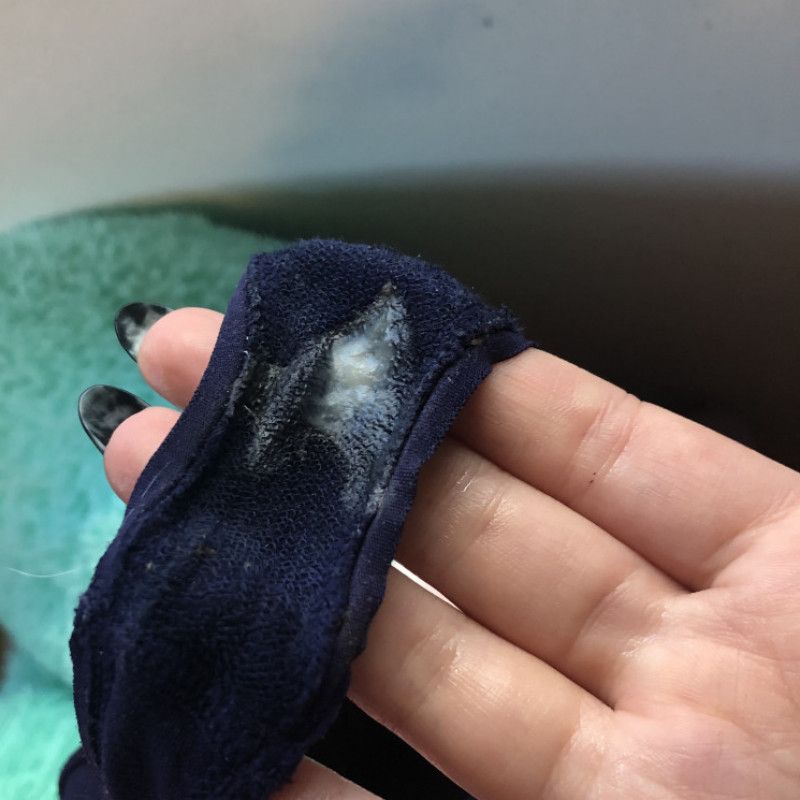 photos of dirty panties