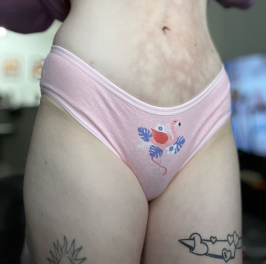 WORN PINK GRAPHIC FULL BRIEF PANTY