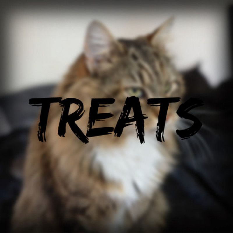 Treat Jack!