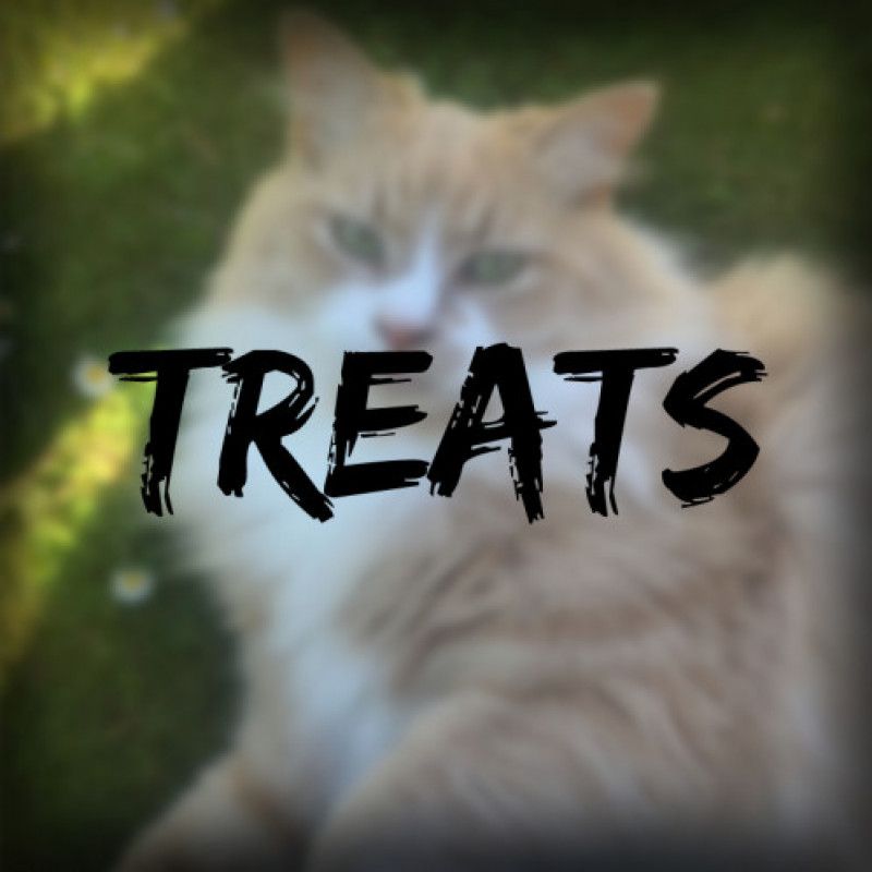 Treat Walter!