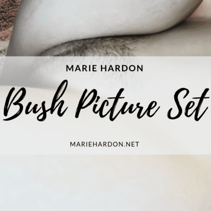 Bush Picture Set