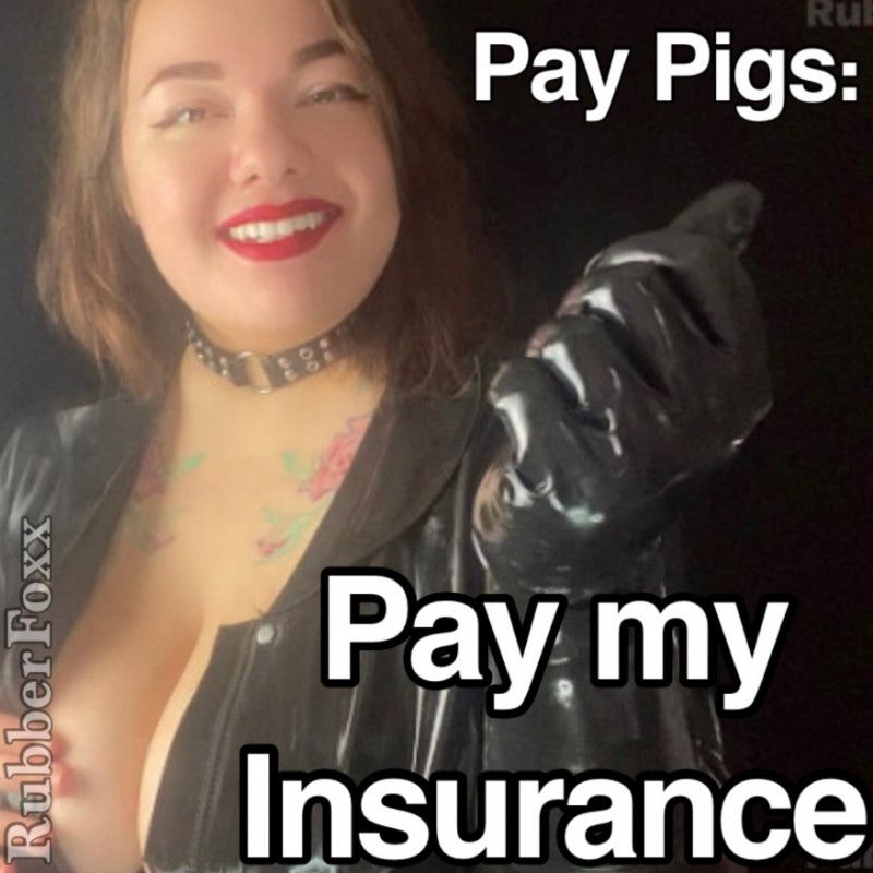 PAY PIGS Pay my Car Insurance