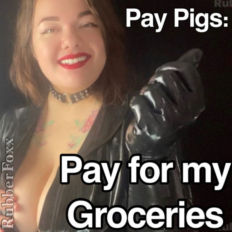 PAY PIGS Pay for my Groceries