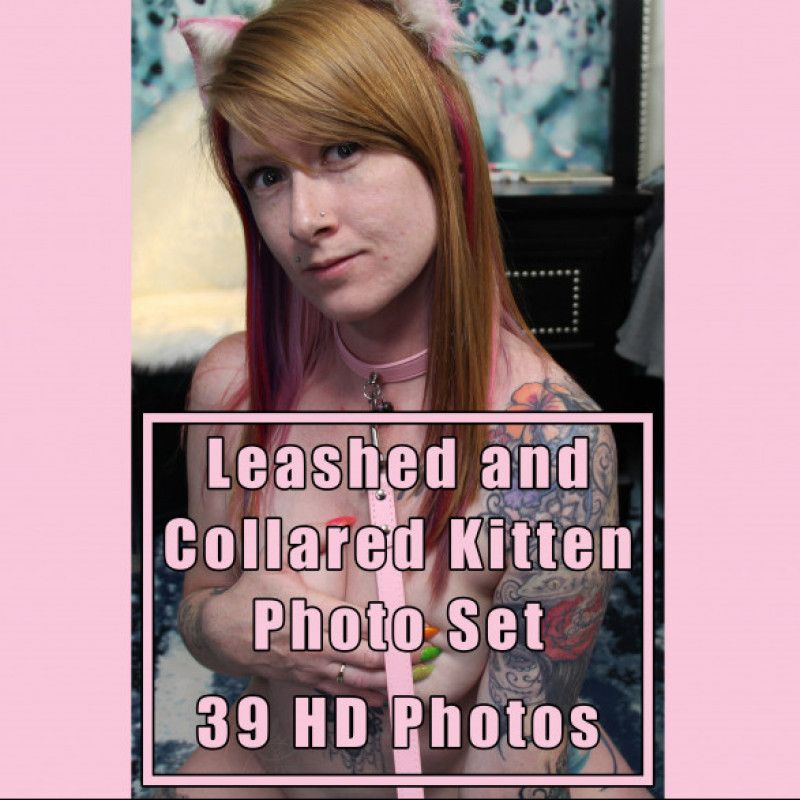 Leashed and Collared Kitten Photo Set