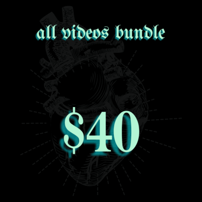 ALL VIDS BUNDLE