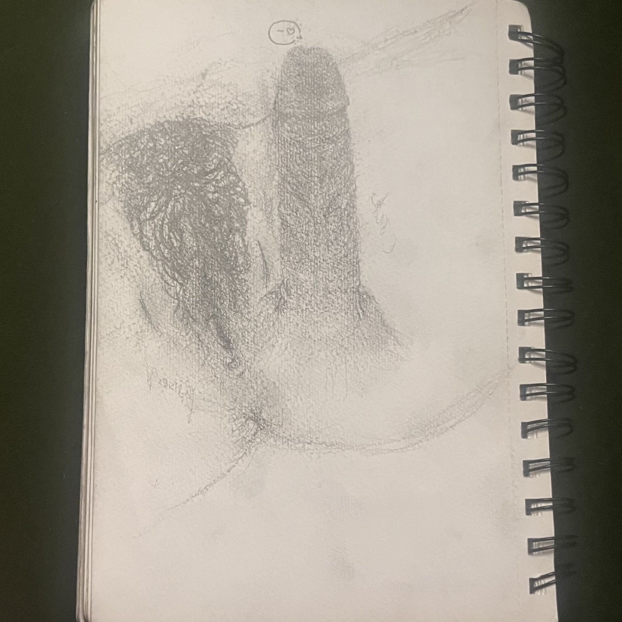 Custom Cock Sketch and Rating VIDEO ONLY