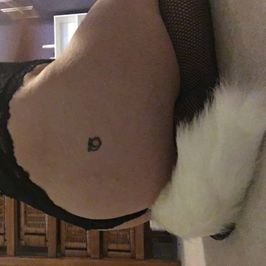 Kitty tail butt plug pics and vid bundle