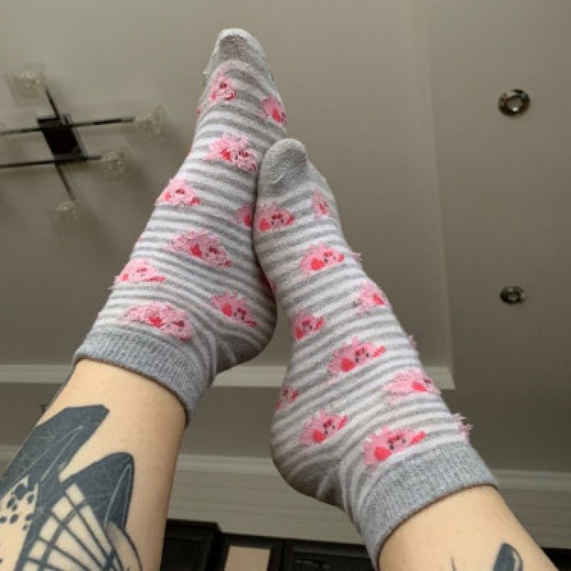 Cute grey socks with pigs oink oink