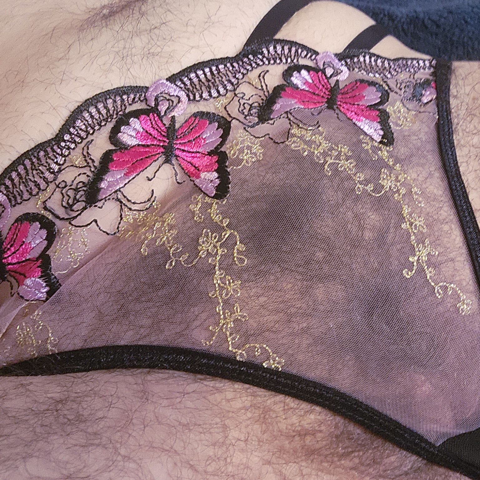 Worn Butterfly Mesh Panties