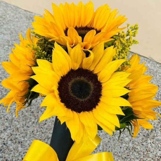 sunflowers for me my favorite flower