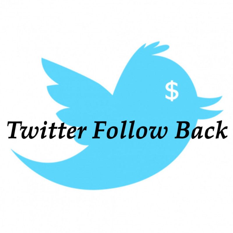 Twitter Follow Back