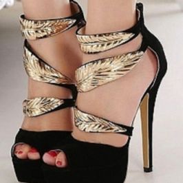 beautiful lady shoes