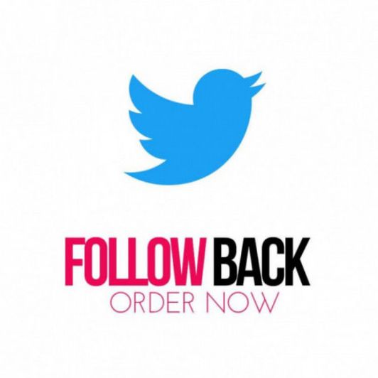 Follow back on Twitter