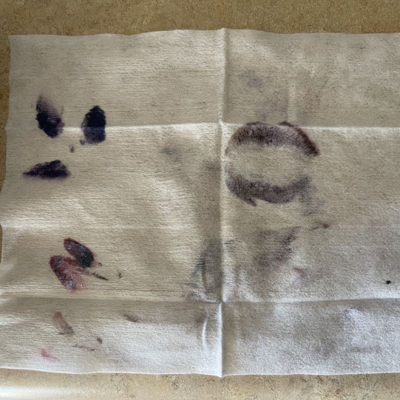 Used Makeup Wipe