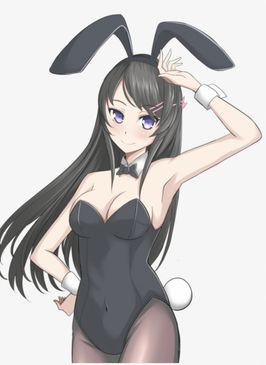 Bunny custom photos