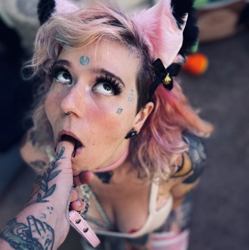 Cat daddy photo set