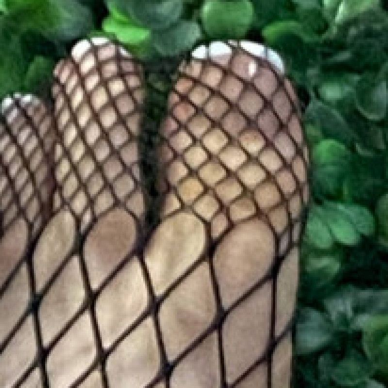 Fishnets in a Garden