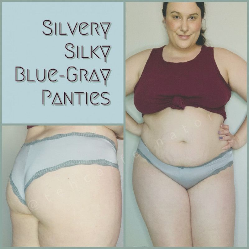 Silvery Silky Blue Gray Cheeky Panties