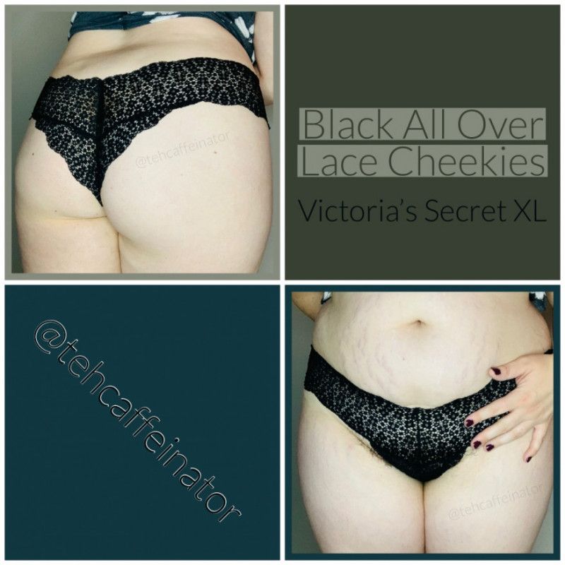 Black All Over Lace Cheekies VS