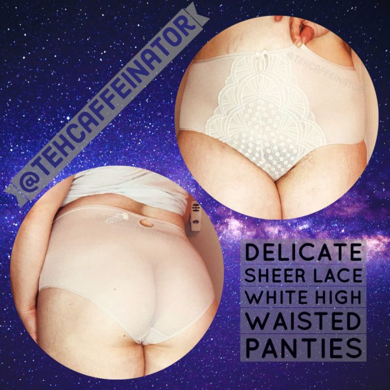 Sheer White Lace High Rise Panties XL