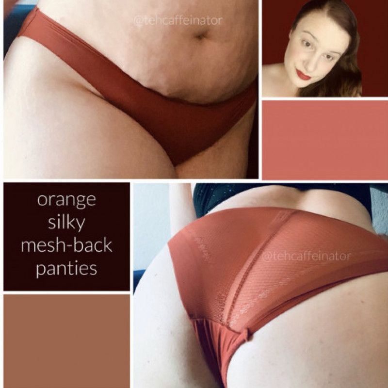 Orange Silky Mesh Back Panties