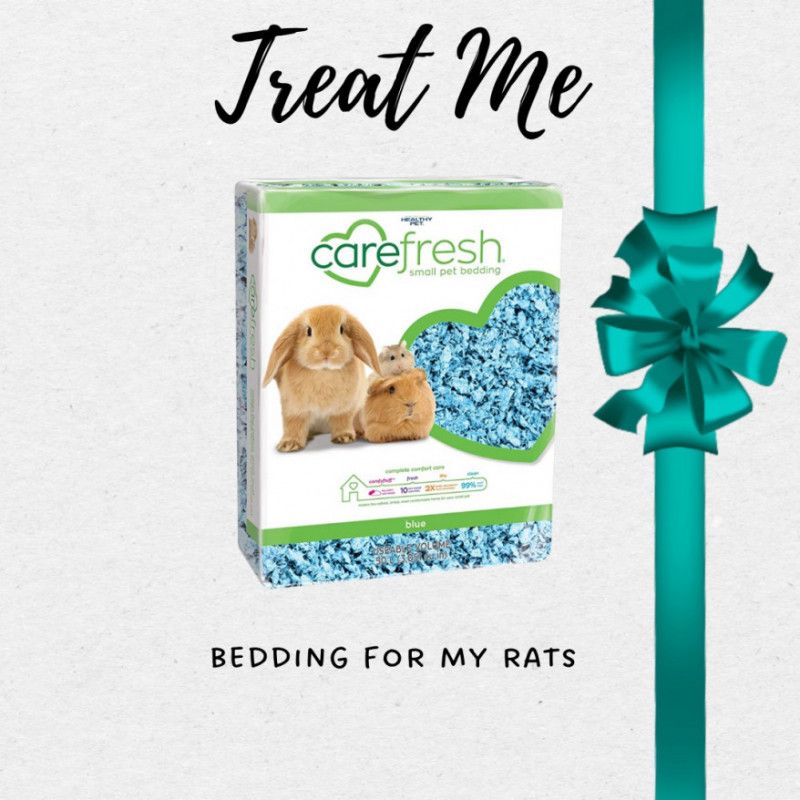 Soft Bedding for my Rats