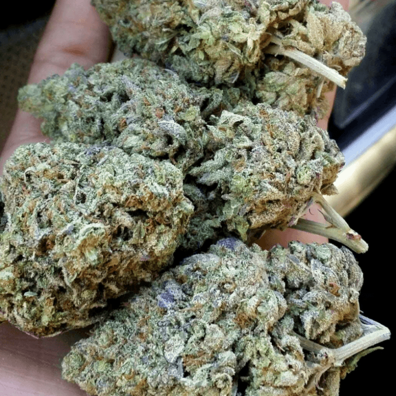 Gift Me: An Ounce