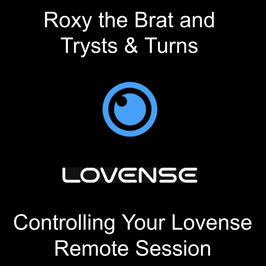 10 Minute Control Lovense Session