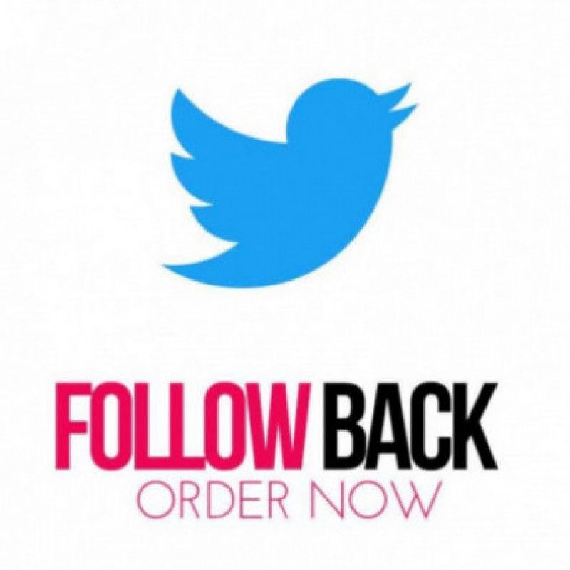 Twitter Follow Back