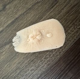 imperfect silicone clone of my butthole