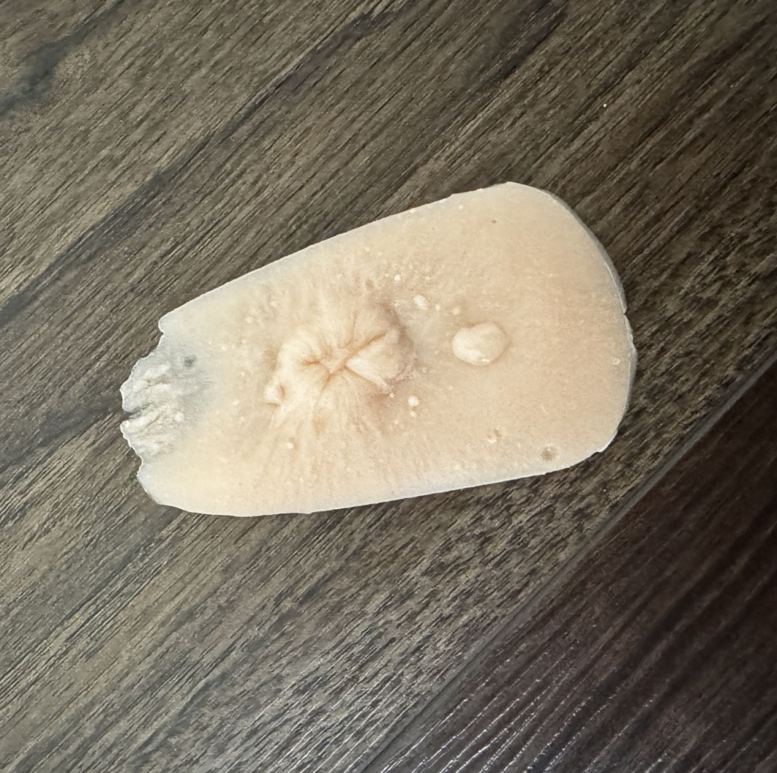 imperfect silicone clone of my butthole