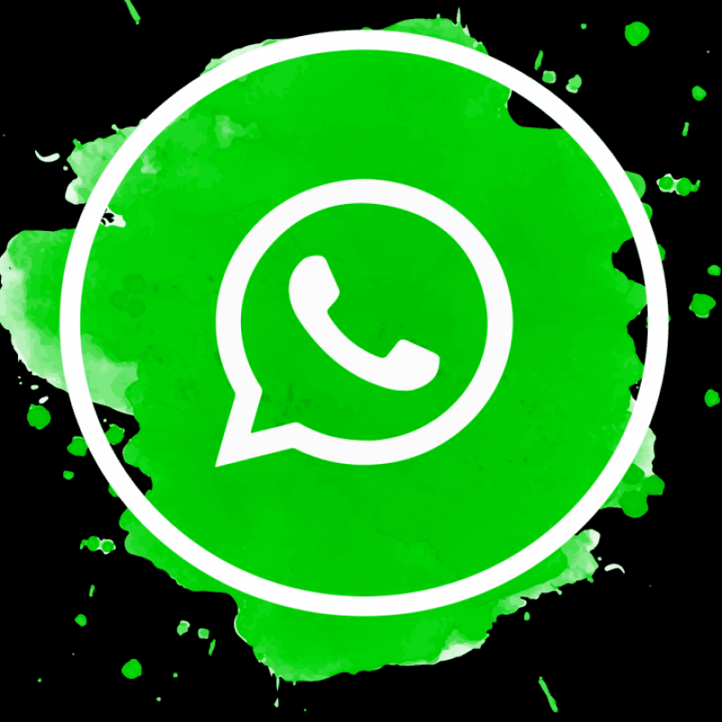 WhatsApp Number