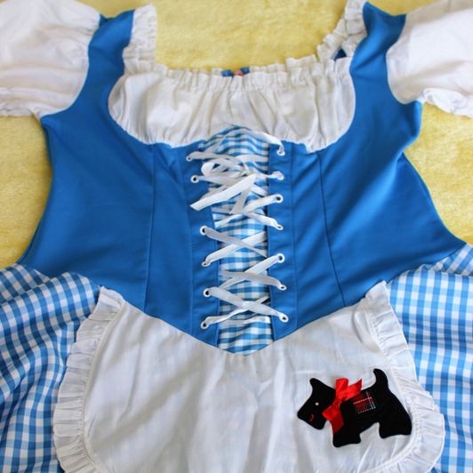 Milk Maid Fancy Dress