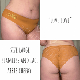 Seamless and lace Aerie Cheeky